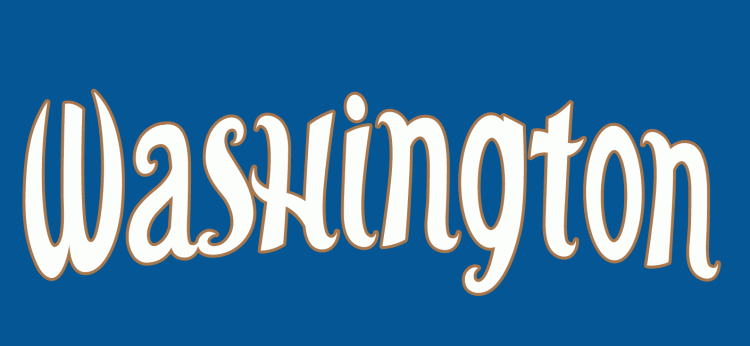 Washington Mystics 1998-2010 Wordmark Logo v2 iron on transfers for clothing
